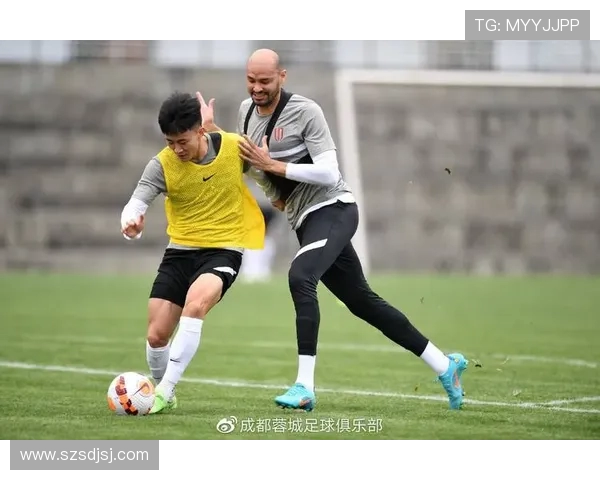 成都与北京羽毛球队赛后分析意识碰撞与战术较量的深度探讨